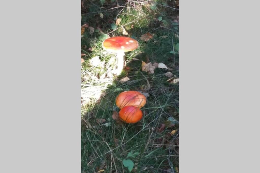 Gite Du Herisson Saulieu Eksteriør bilde